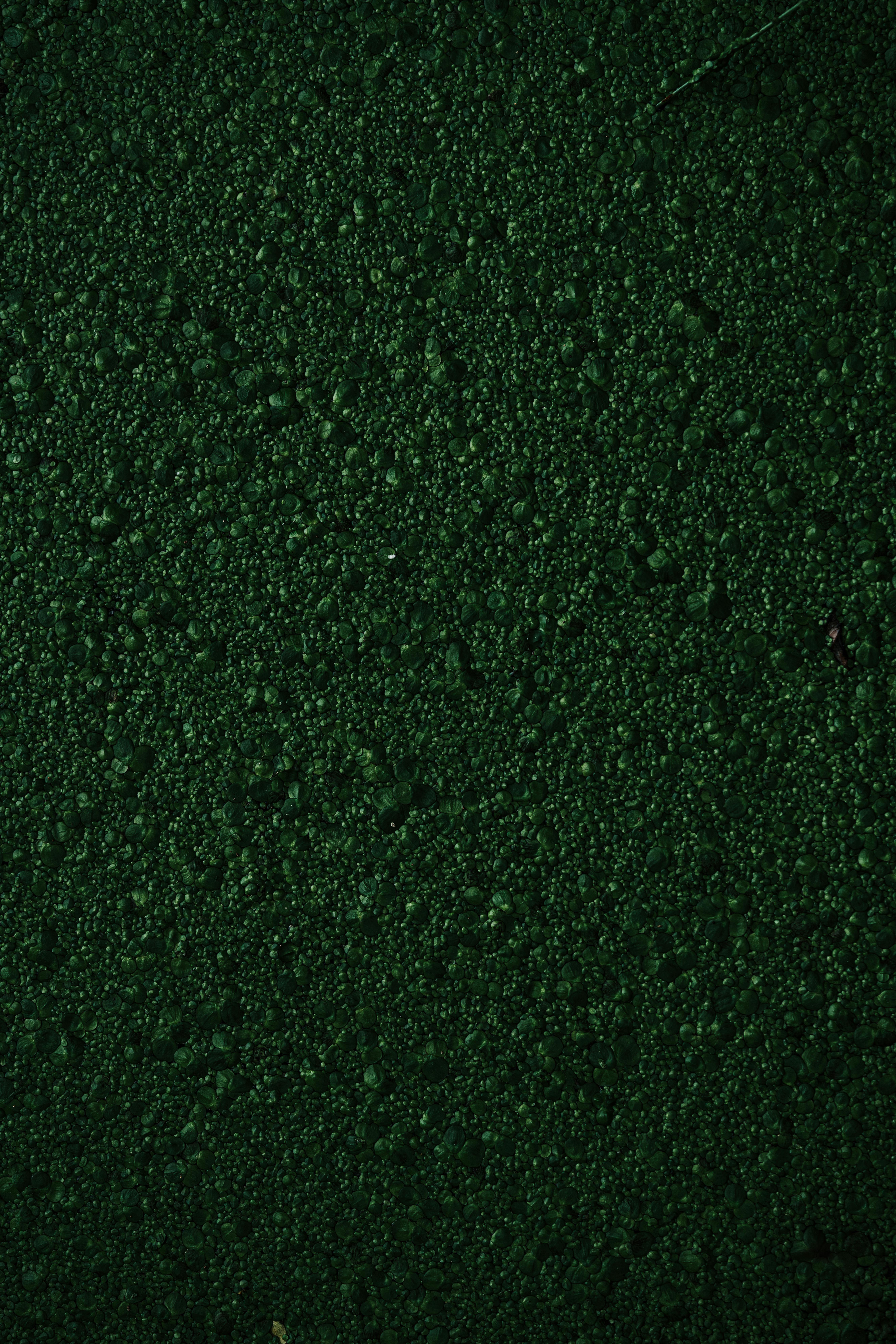 Close-up of a person rolling out a lime green yoga mat on a dark floor